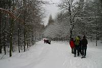 Bild 07
